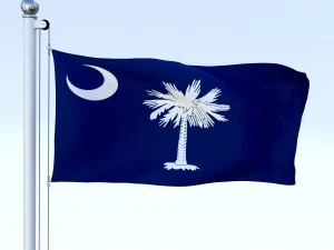animated south carolina flag 3D Model
