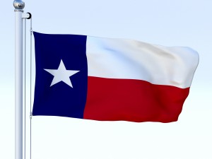 animated texas flag 3D Model