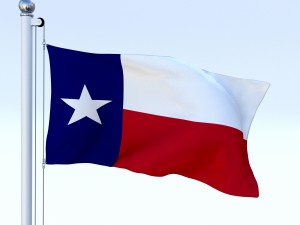 animated texas flag Model 3D