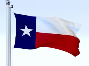 animated texas flag Model 3D