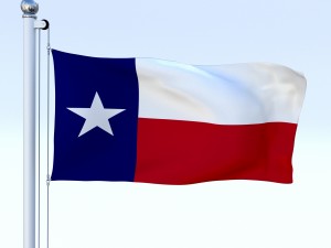 animated texas flag Model 3D