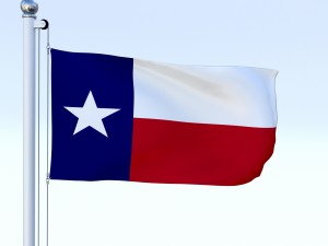 animated texas flag Model 3D