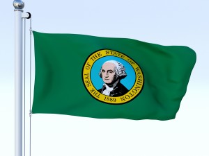 animated washington flag 3D Model
