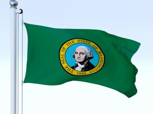 animated washington flag 3D-Modell