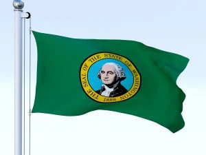 animated washington flag 3D Model