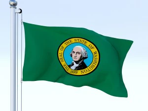 animated washington flag 3D Model