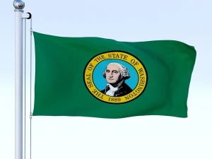 animated washington flag 3D Model