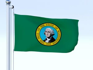 animated washington flag 3D Model