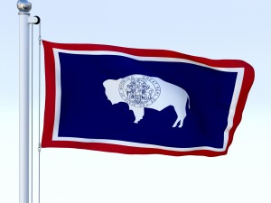 animated wyoming flag 3D मॉडल