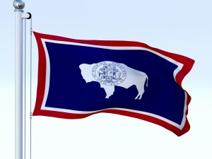 animated wyoming flag 3D 모델