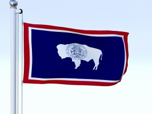 animated wyoming flag 3D 모델