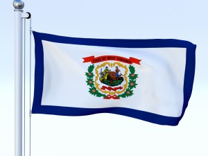 animated us flag pack Model 3D
