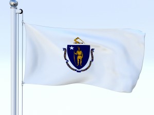 animated us flag pack Model 3D