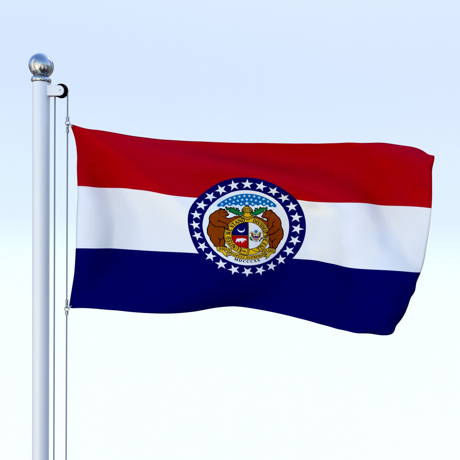 3d flag