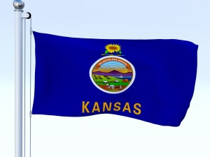 animated us flag pack Model 3D