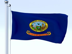 animated us flag pack Model 3D