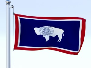 animated us flag pack Model 3D