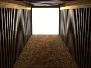 40ft shipping container open top 3D Model