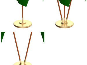 pakistan flag pack 3D Model
