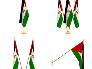 western sahara flag pack 3D Model