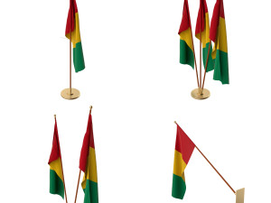guinea flag pack Model 3D