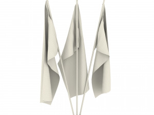 taiwan flag pack 3D Model