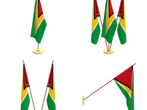 pacote de bandeira da guiana Modelo 3D