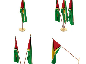 pacote de bandeira da guiana Modelo 3D