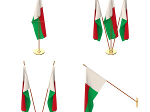 madagascar flag pack 3D Model