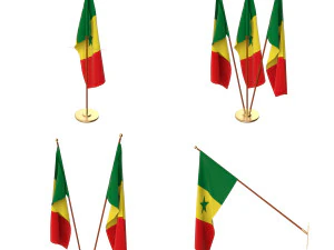 senegal flag pack 3D Model