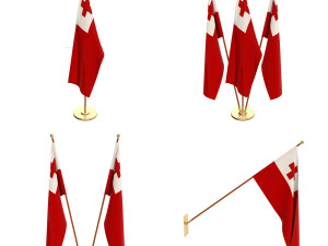 tonga flag pack 3D Модель
