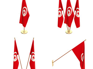 tunisia flag pack 3D Model