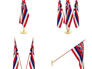 hawaii flag pack 3Dモデル