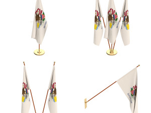illionis flag pack 3D Model