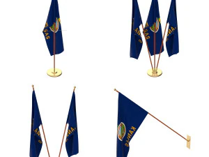 kansas flag pack 3D Model