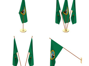 washington flag pack Modèle 3D
