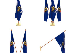 wisconsin flag pack 3D 모델