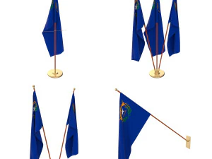 nevada flag pack 3D Model