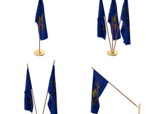 pennsylvania flag pack 3D Model