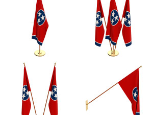 tennessee flag pack 3D 모델