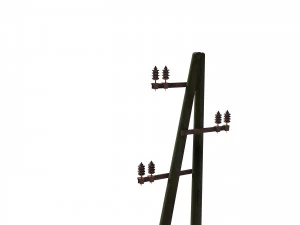 electricity pole 10 weathered 3D Model