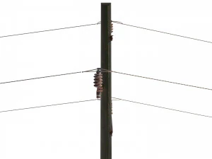 electricity pole 23 weathered 3D Model
