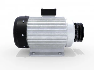 electric motor 4 3D Model