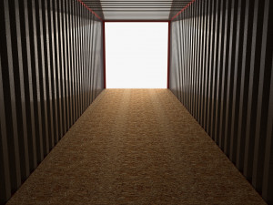 40ft shipping container hyundai 3D Modell