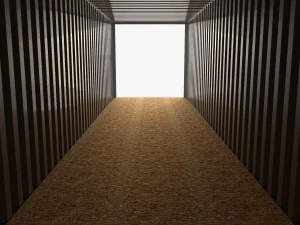 40ft shipping container yang ming 3D Model