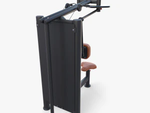 Back swing machine 3D Model