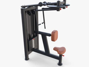 Back swing machine 3D Model