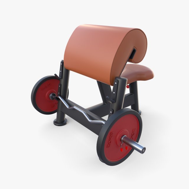 Curl bench 3D Model .c4d .max .obj .3ds .fbx .stl .blend 