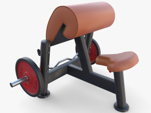Curl bench 3D Model