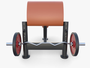 Curl bench 3D Model